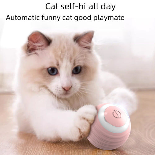 Pet Gravity Smart Rolling Ball Cat Toy for Entertainment, Self-Play,
